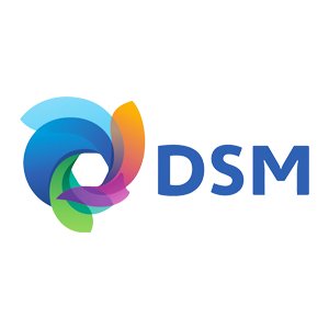 Logo Cliente dsm